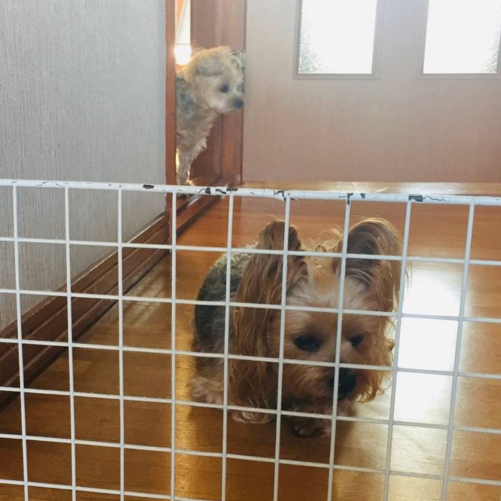 4f4d1fb5 4cb1 41c7 87fa c0c536787712 1540190395884