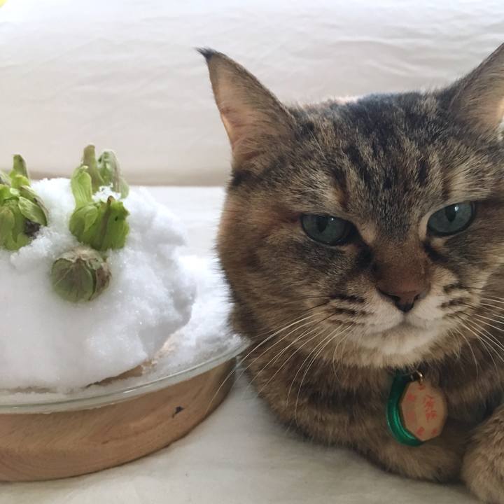 4f4d2248 1172 43db a672 3e0dcbd1cd07 1517712434103