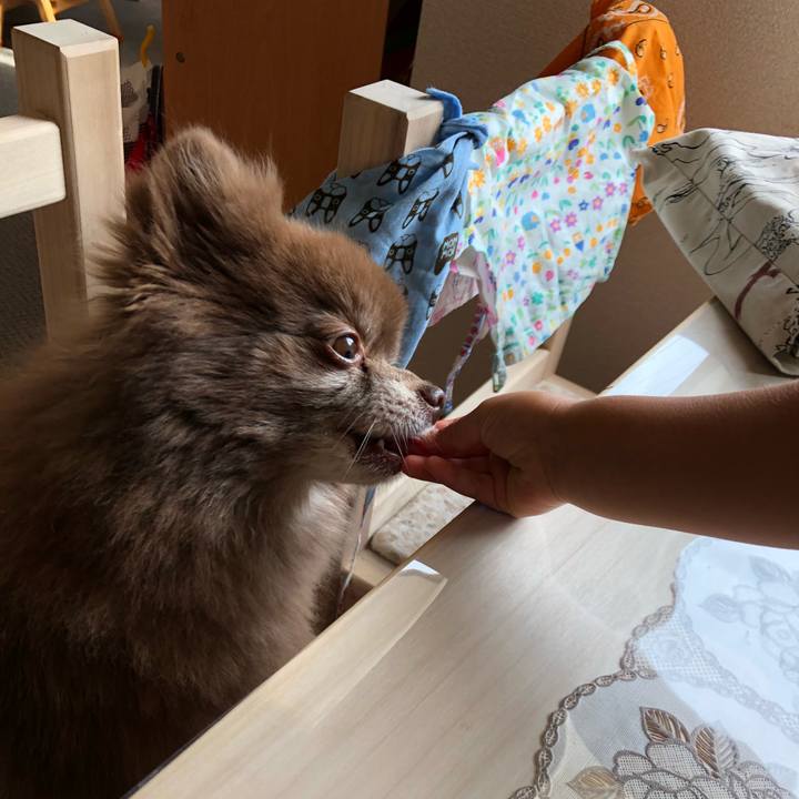 4f4d251d 2f78 4264 b3a4 0164456b588e 1560081664684