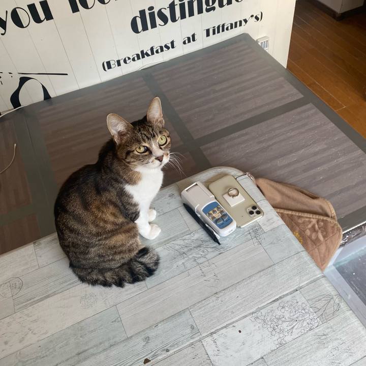 4f4d2a75 c3b2 4c38 b79a 15fd12ce25f7 1646793976871