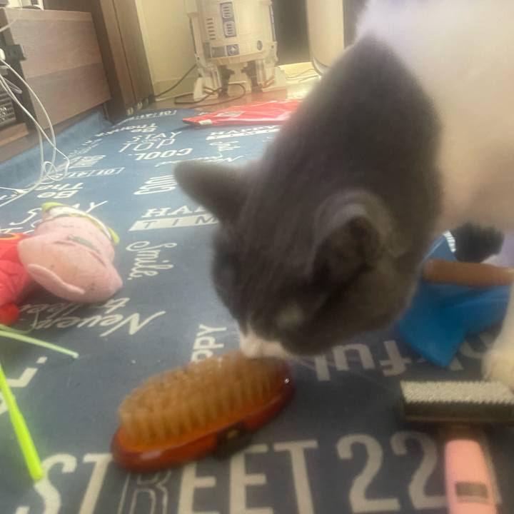 4f4d6502 d328 4c1e a7ba 527b6d1927ae 1729989807414