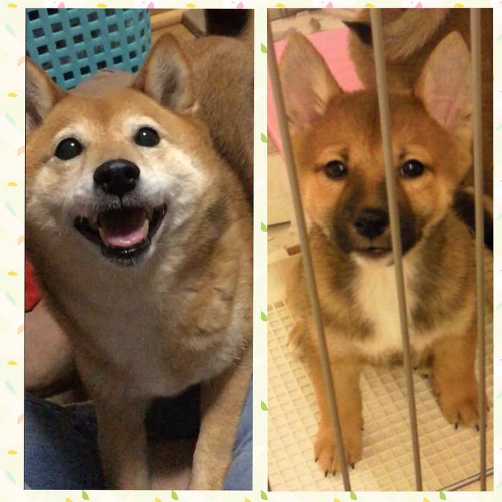 4f4dc568 f944 4128 b9a9 a2742cfdab24 1558768975517