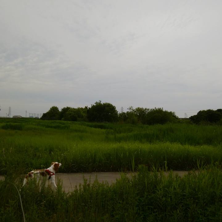 4f4dd735 9955 41e4 b3f4 e40c850cb32d 1528199322940