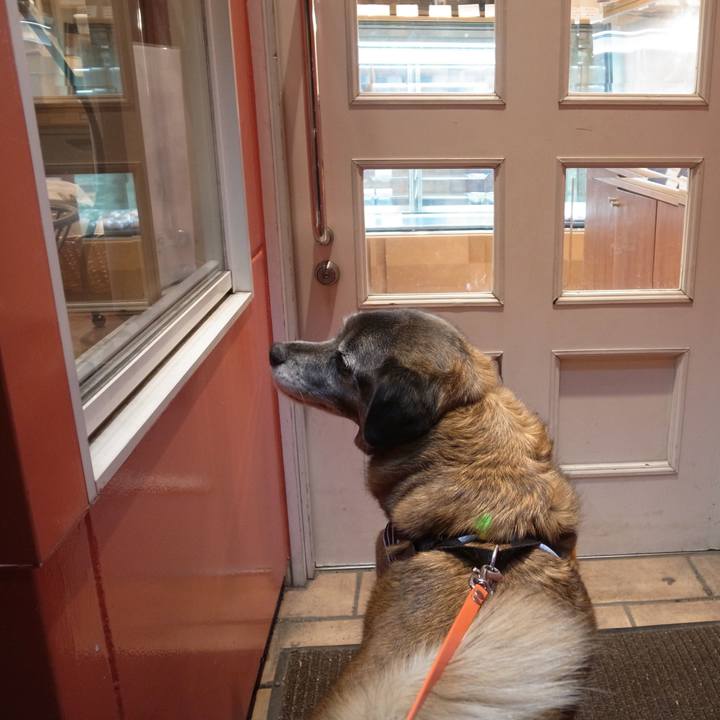 4f4de89e d37c 4ceb b6ae 77a0d57321f3 1601251527082