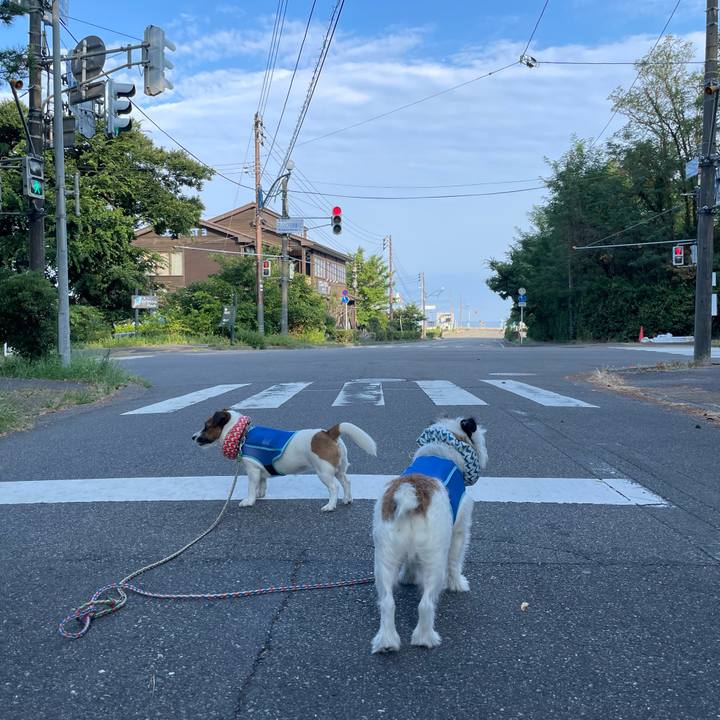 4f4e00e5 de1e 4802 ac80 23f45e18c9a8 1692315043302