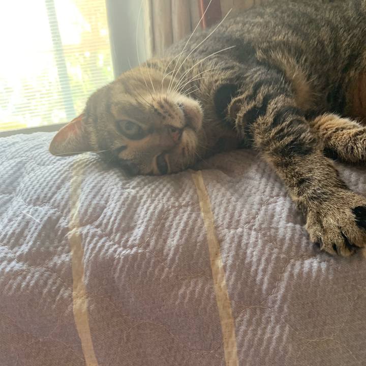 4f4e2b8d 0896 4468 a0f4 4e8c915b6b05 1564813926017