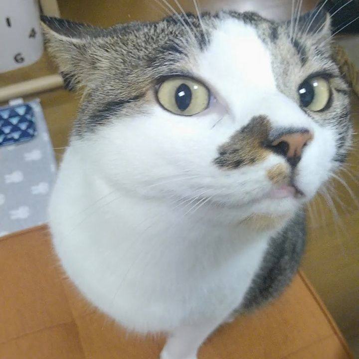 4f4e3092 1ca0 4b10 aed9 b571a2ae5c3f 1657436224213