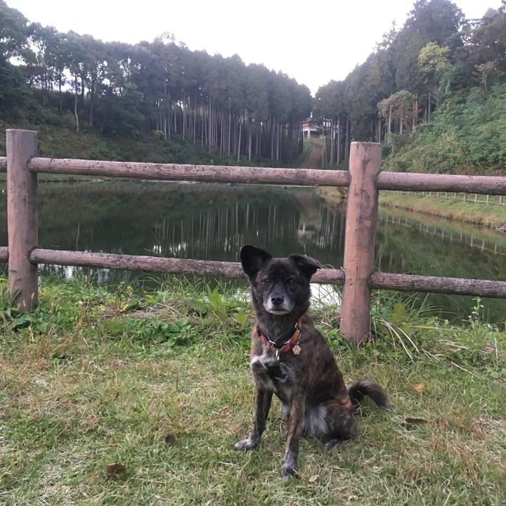 4f4e3f5a 90cf 4827 839f c1a2ab0811d4 1542294496396