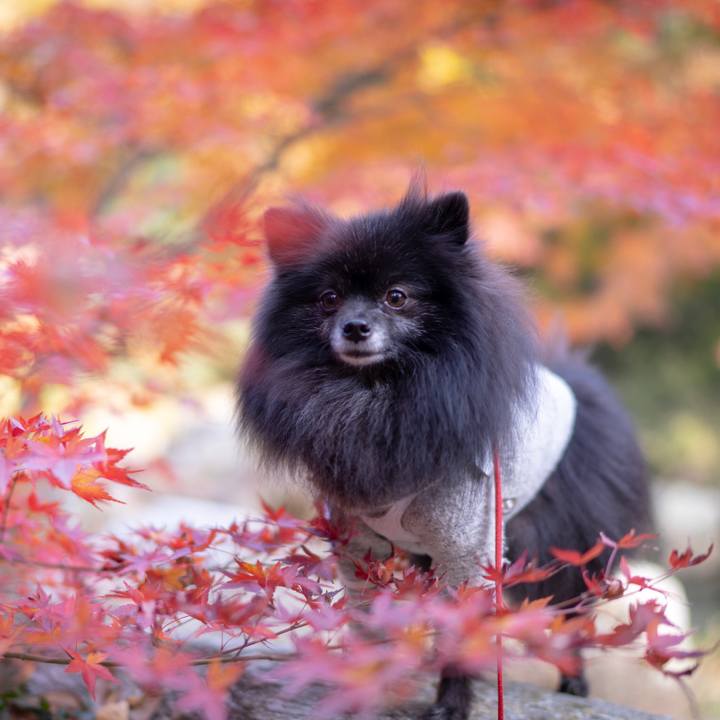 4f4e5b11 ac80 40ea acce 20dcc037eaa4 1546779141022