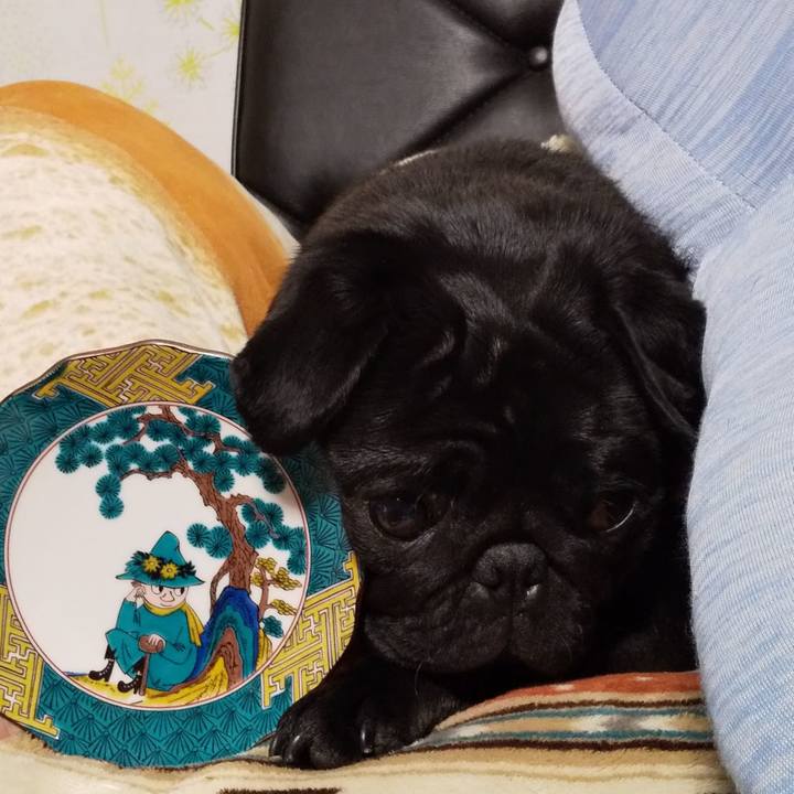 4f4e5b18 4119 4ac9 8c44 02227bc61b69 1557414669118