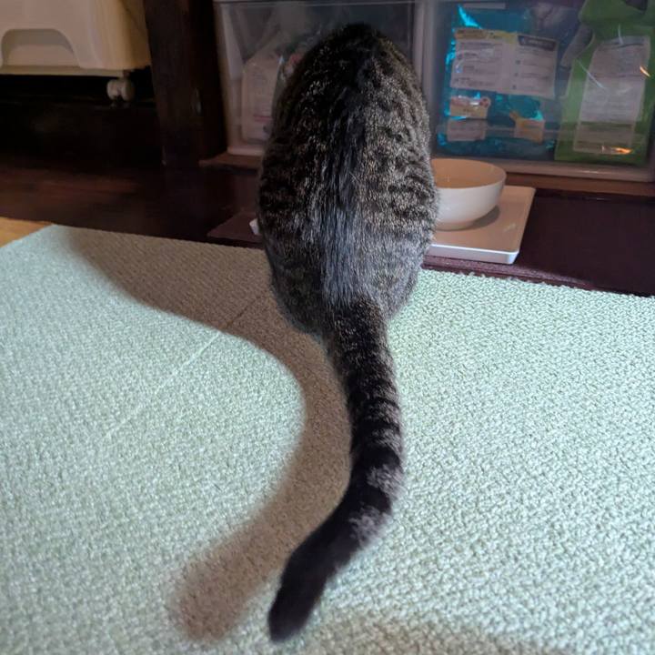 4f4e6493 28b8 493f 9e50 ec72bbf54c2f 1769609105335