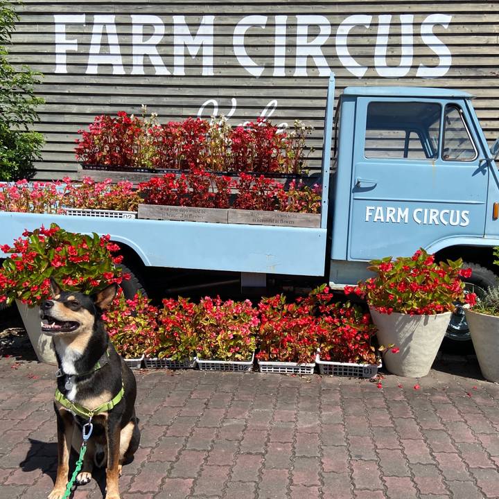 4f4e863e ce58 41c8 9d33 e054d730348c 1630931129370