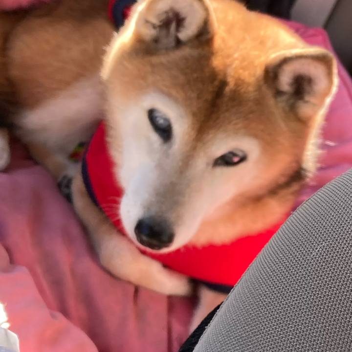 4f4e8ca5 e9b4 4ae0 ac3a 0d853bbc48a3 1763094090186