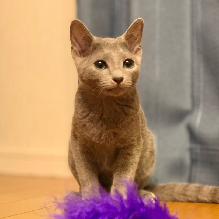 4f4f0989 224d 4371 b1a9 218c820095da 1574994397240