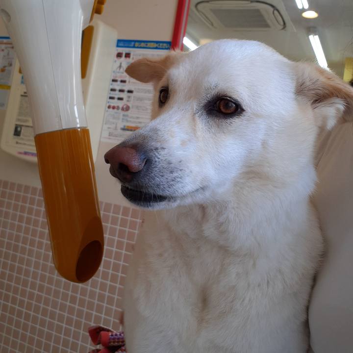 4f4f2a69 9bb7 45f4 895f 897e8c5f6982 1651985724257