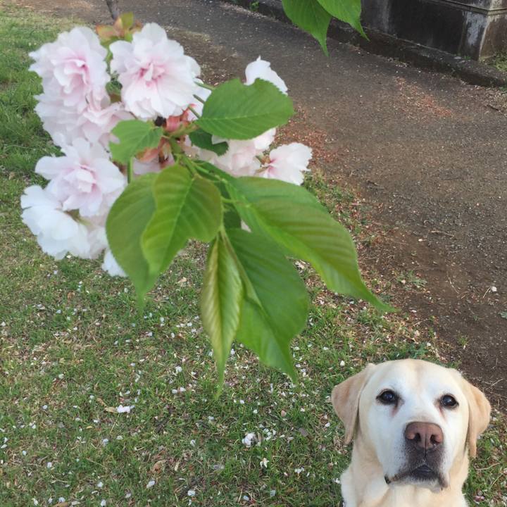 4f4f9ccf 5637 47b7 a221 4da1d61cb0de 1555895477785