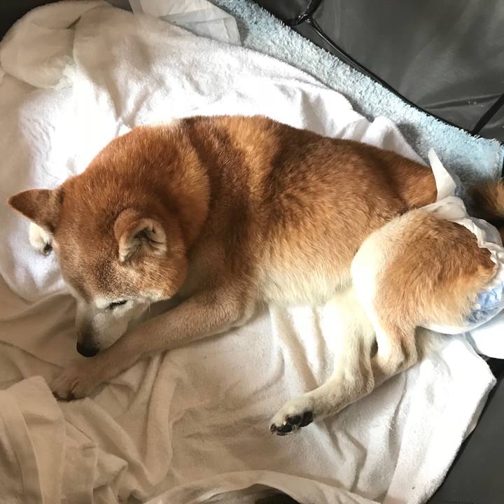 4f4fc48f 3284 4e06 b98b 24f3d07f399d 1523292283120