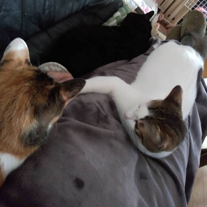 4f4fcded a512 4f56 8afc 2d83c1966cf8 1677841629480