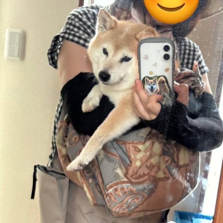 4f500a11 3f17 46ec a391 7f3a8d917b37 1752224684138