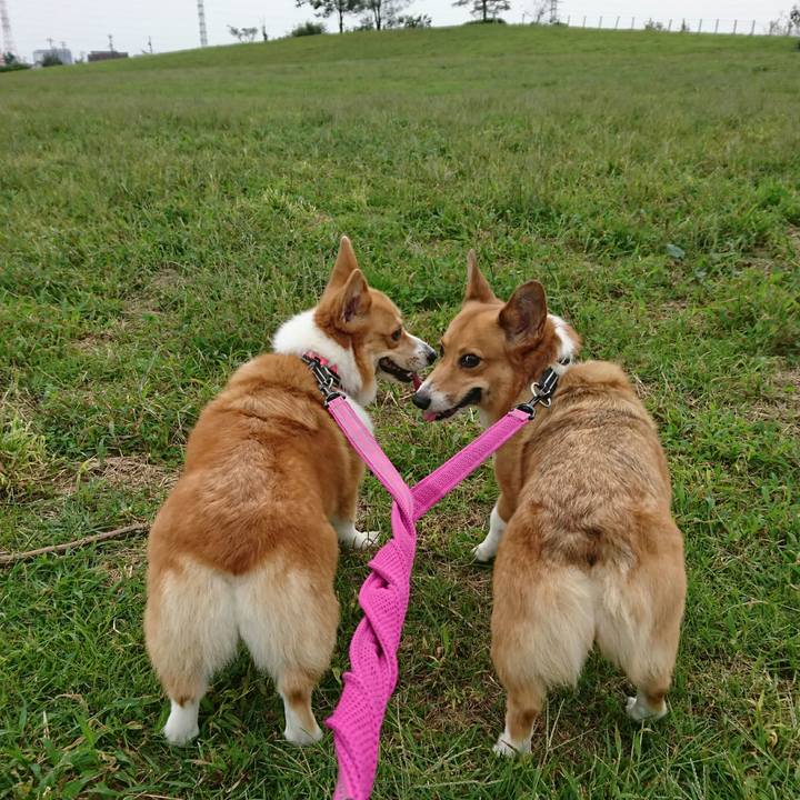 4f505d3f 627a 43cc a90c 7cff67058e71 1538628006749