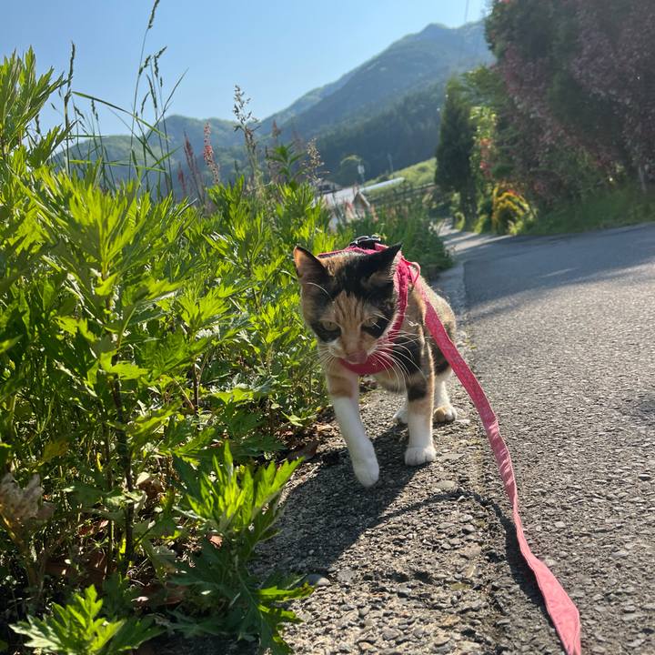 4f506101 25c4 411c 864c 4f44472cc69b 1652913267641