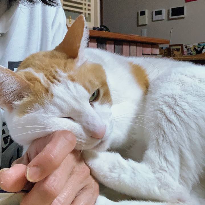 4f5065c7 a92b 4903 8b8a f73f48074a02 1583120443440