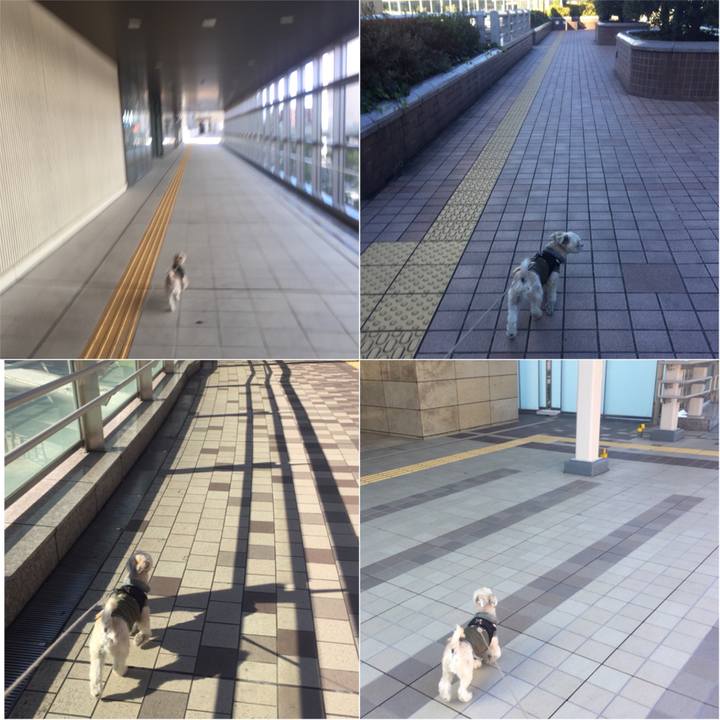 4f5079a8 947b 461e 871a aa20d71e3375 1542946926929