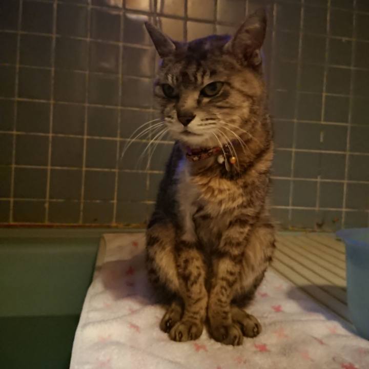 4f50a753 80c0 48ce 91a3 9b7172bacb5b 1594203929640