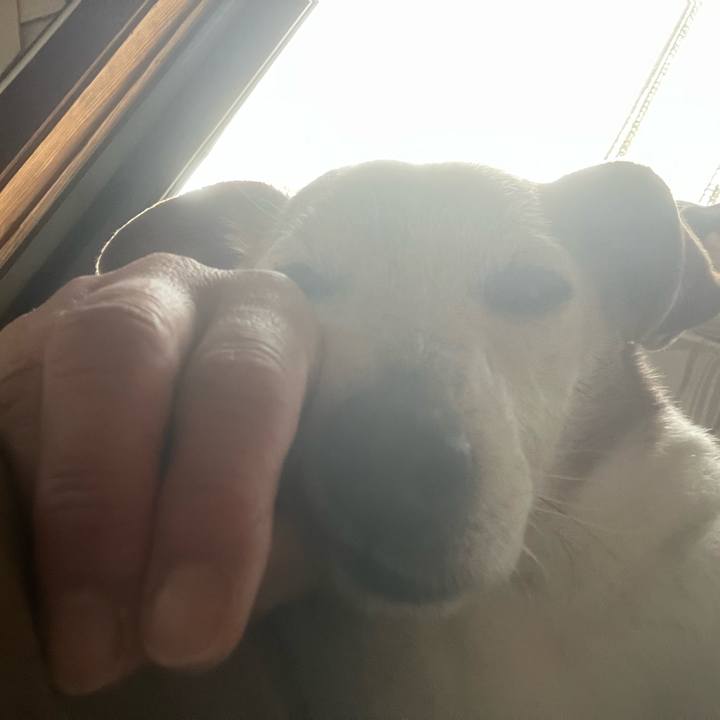 4f50ab15 3fd8 4fd4 8118 4f4bb4751175 1776987734217