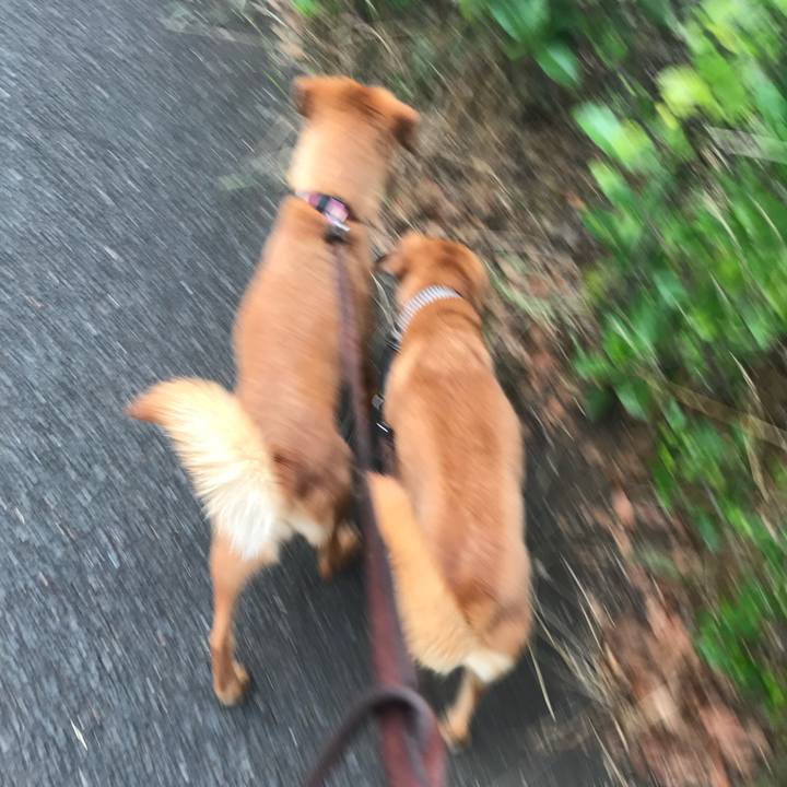 4f50b319 8af4 4304 b0f0 c1c8e42742ee 1531302990470