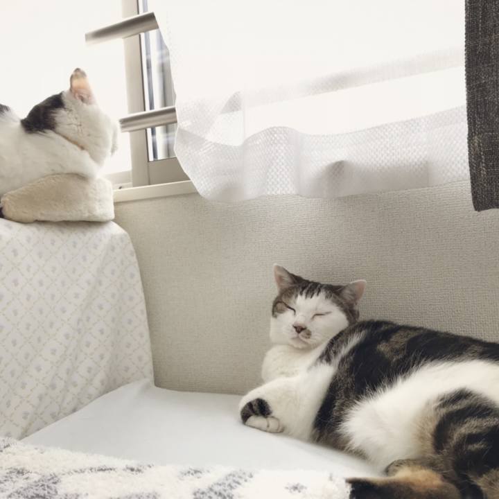 4f50d6ff d337 4ac6 8857 597aeb8818b2 1563593997104