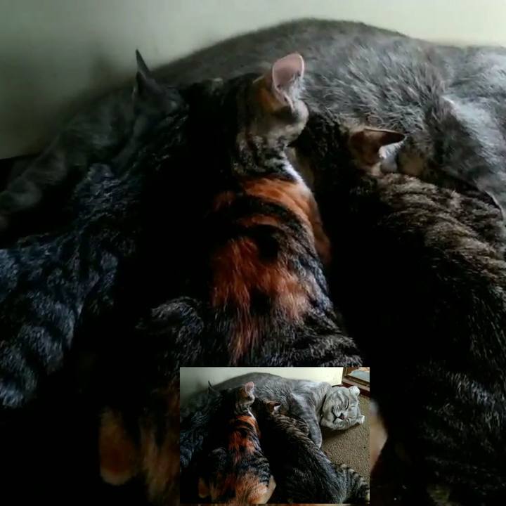 4f50eafa ffb2 4463 86a9 f99110b298e8 1694505058091