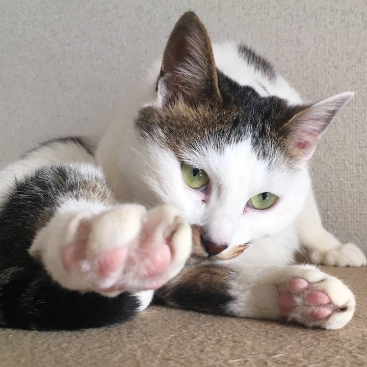 4f513421 5b4b 4e01 90fb 56bcf5f9f255 1548377846596