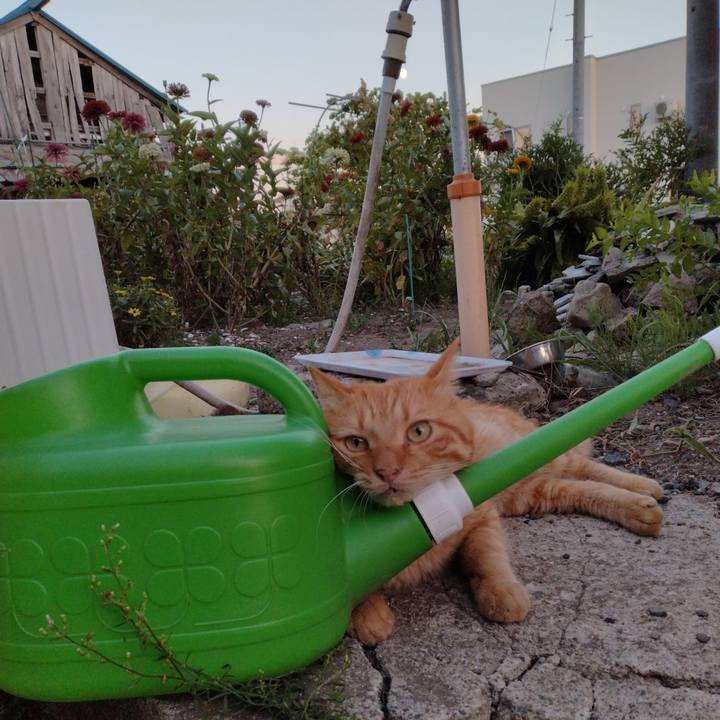 4f5186d1 f56b 43f4 8cf6 456fbee81168 1693218501994