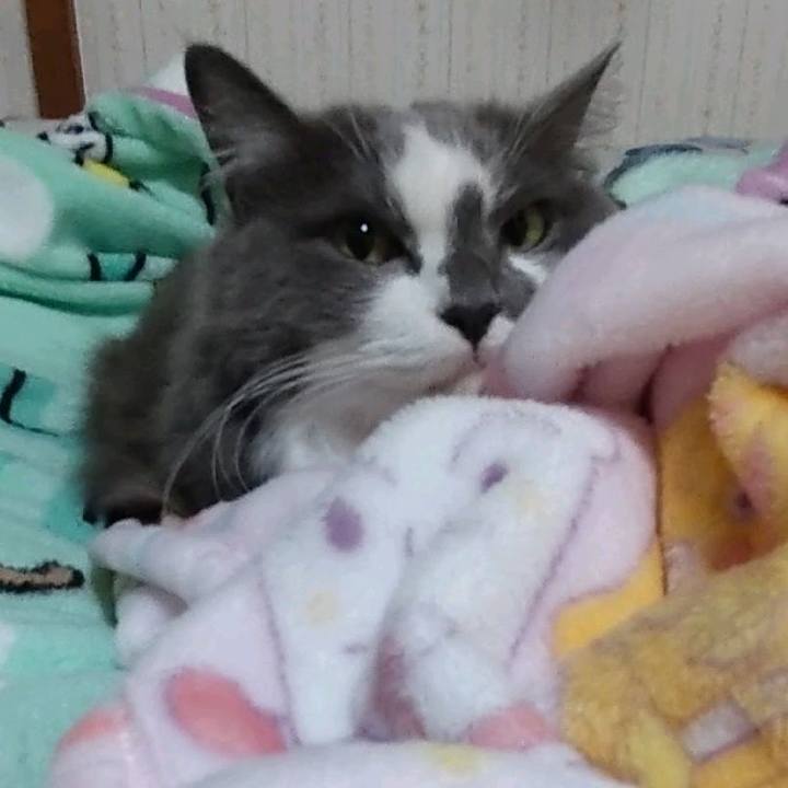 4f5211ea 8bec 48b3 bf68 5427fc9704d7 1672117067678