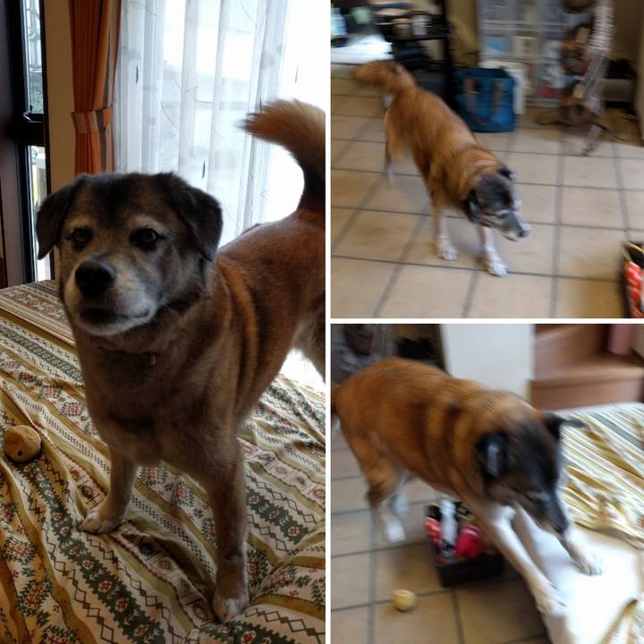 4f521abe 56fd 4214 9eb3 b8be239277fd 1528764436734