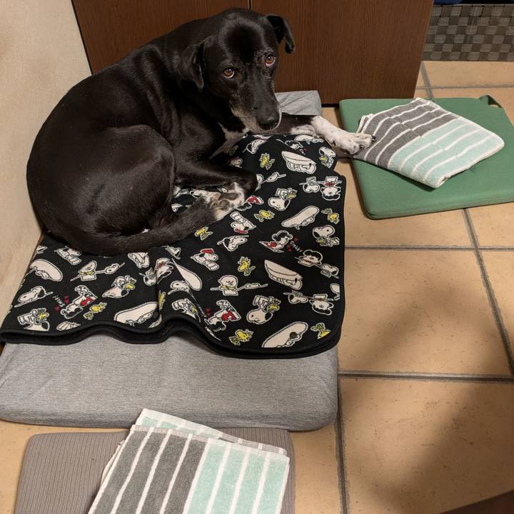 4f521fc7 4525 42c9 a96b 22dab1734803 1733875343850