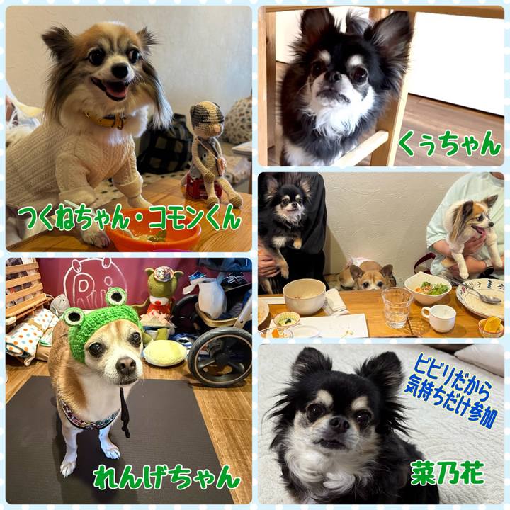 4f5230aa 982d 453c b000 570ef1c0deef 1745707645352