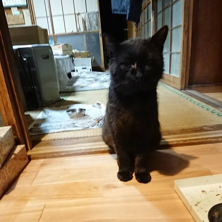 4f5242d8 ed0b 44a5 8cef 2b8431b9583d 1623864609044