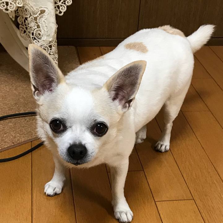 4f52493b 53b7 4fdf b7a2 701358e53d47 1508855990101