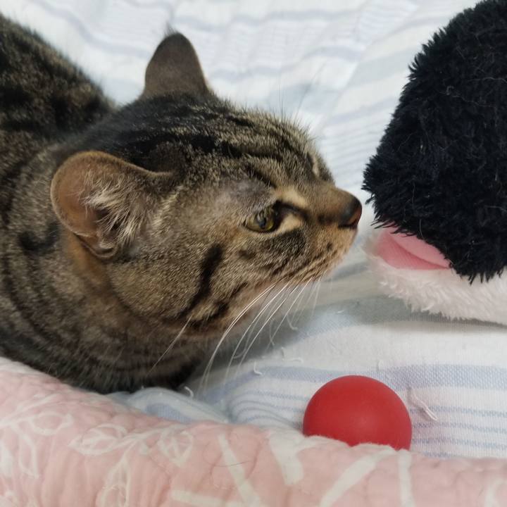 4f5288b8 9865 4dc3 a831 86109a9b6c6d 1619127816334