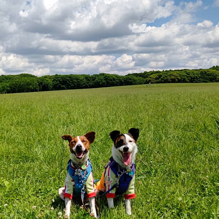 4f52a951 f052 4c51 a137 643de3e5f807 1653198305708