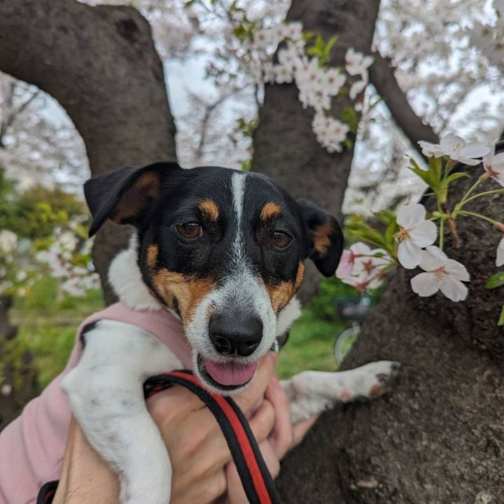 4f52ce76 acbe 4b23 8b3e 77e2707dee28 1712584965785