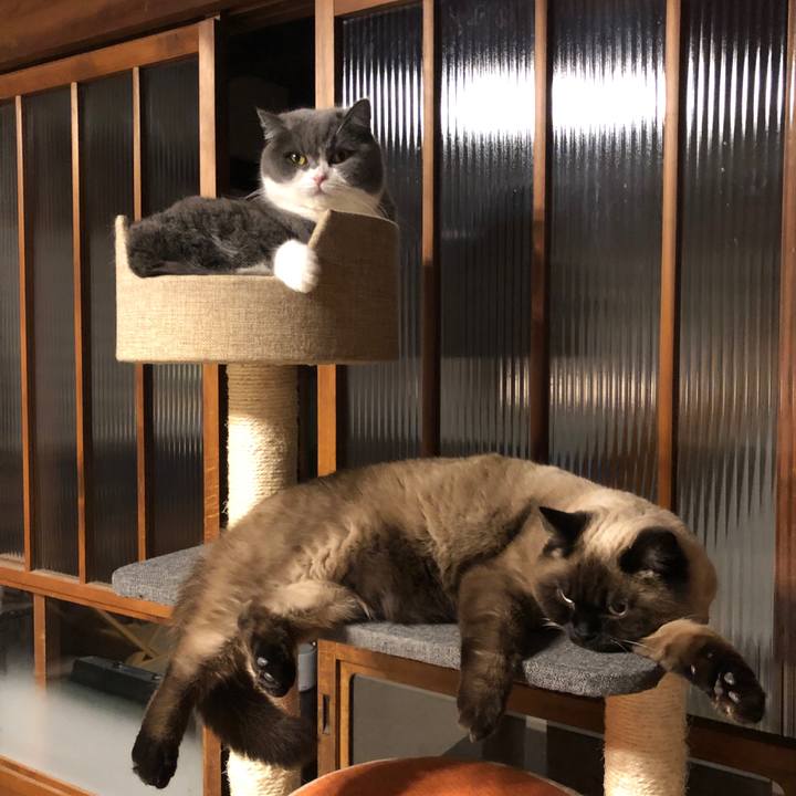 4f52d0c8 0f18 459e 97c1 d63b36fec6ba 1614072589532