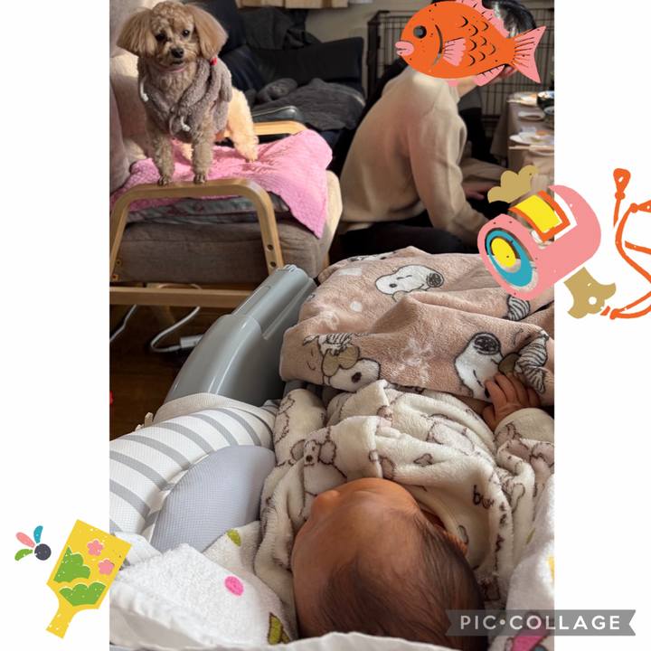 4f52e0fd 8d1a 44c1 b660 0d579babadd3 1767415232665