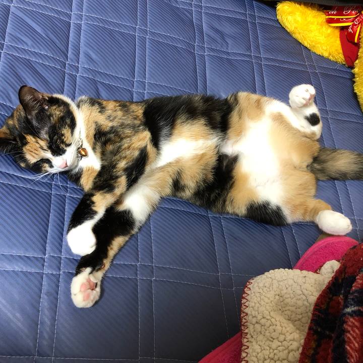 4f530bad 95e6 4f9a 9238 bf6a8c2016ef 1561600433584