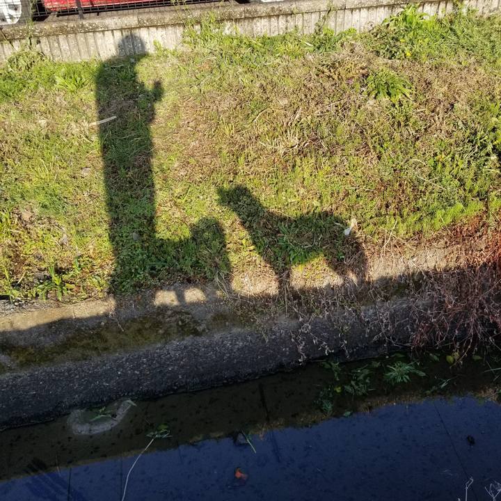 4f5316dd 62de 4162 98f8 2803c7f766d1 1758789534924