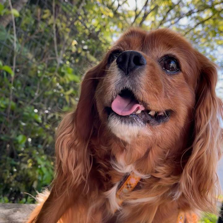 4f53374b f795 4265 b813 cb9a193f65c2 1682208504881