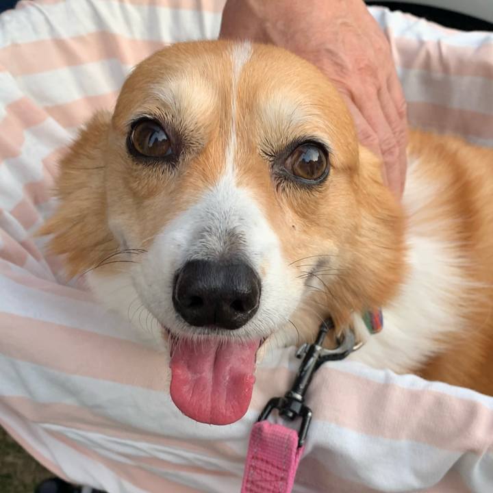 4f5346ad b3c1 42dc bf8d 4c6f0a212e87 1713085475195