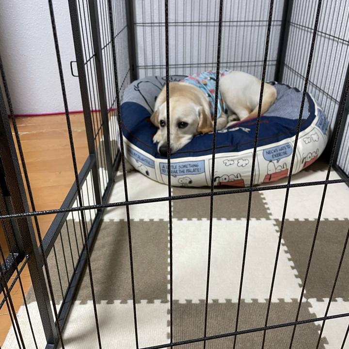 4f534d0c 168f 4e7a a3db 839b75af9f10 1623935547561